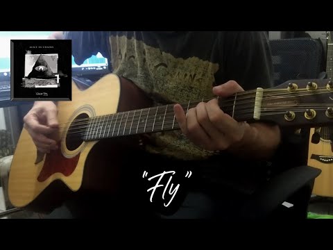 Fly (Alice In Chains Cover)